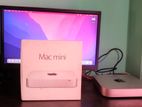 Mac Mini 2014 8/256 Ful Set Up For sale