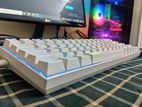 Macanical RGB Keyboard for Gaming & Coding.