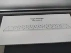magic keyboard ( New)