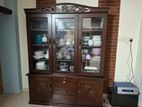 Malaysian Oak Tree Showcases