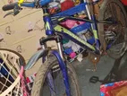 Bicycle For Sale