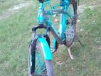 Marine Non Gear Bicycle