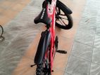 Marine Non Gear Bicycle