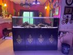 Marine tank 6 feet