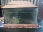 Aquarium for sell