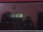 Marvelous led tv 2025