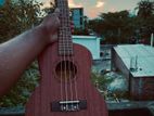 Ukulele for sell