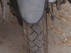 Maxxis Tubeless Tyre Thailand