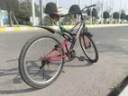 Duranta Bicycle for sale