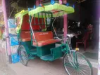 মডেল -1006_ প্রতিবন্ধী রিক্সা- ওয়ারিং সহ