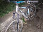 Falcon Bicycle for sale