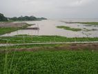 মেঘনার পাড়ে ৮০ বিঘা নদীভিউ জমি — রাজকীয় প্রজেক্টের উপযুক্ত লোকেশন!