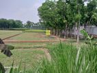 মেইন রোড এর সাথে বাণিজ্যিক প্লট