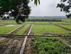 মেইন রোডের সঙ্গে নওহাটাতে জমি বিক্রয়