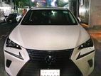 mg car rent