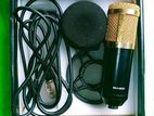 microphon and pop filter
