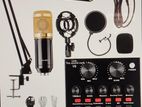 microphone and V8 sound card