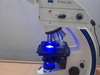 Microscope Zeiss Olympus