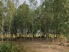 মিল ইন্ডাস্ট্রি এবং কল-কারখানা জন্য জরুরী ভিত্তিতে জায়গা বিক্রয় হবে