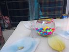Mini Aquarium