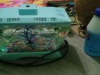 mini aquarium water tank