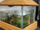 মিনি একুরিয়াম