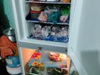 Refrigerator & Freeze