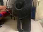 Mira Fan