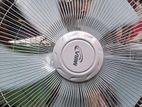 Mira Fan