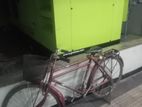 Bicycle for sale
