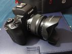 Mirrorless M50 4k Camera