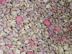 mixed cat food