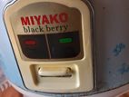 Miyako black berry