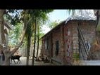 মনোরম পরিবেশ অনেক সুন্দর একটা বাড়ি দেখলেই মন ভরে যাবে