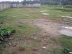 মনোরম পরিবেশে ২২ শতাংশ জমি বিক্রি করা হবে