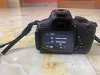 Model: Canon EOS 700D + Yongnuo YN50mm f/1.8 Camera Lens