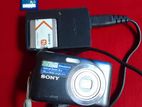 Sony model-DSC-W310