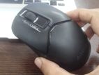 Fb12 Mouse