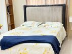 Modern bed