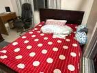 Modern Queen Size Bed with Mattress Included