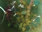 Moly Fish