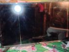 Tv For Sell