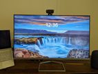 monitor sale hp 24inch with warranty