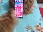 Motorola Edged 50pro (Used)