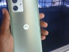 Motorola Moto G 54 5G (12/256) (Used)