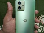 Motorola Moto G G54 5G (Used)
