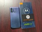 Motorola Moto g31 6/128 official (Used)