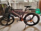 Mountain Stant Cycle
