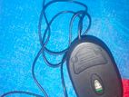 Mouse for sell