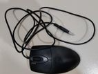 Mouse for sell